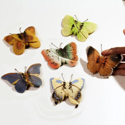 CaliCosy Vlinder raamdecoratie