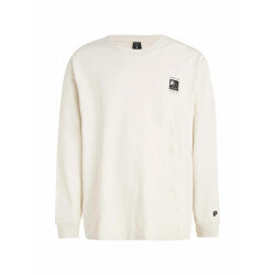 Protest shelby longsleeve t-shirt strandshirt heren -