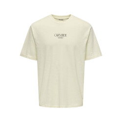 Only & Sons onsluis palm rlx ss tee cs 22035584 antique white