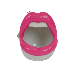 House Vitamin Pot ornament lip ceramics -pink/white -10x10x12cm