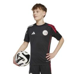 Adidas Ajax tr jsy y jp1747
