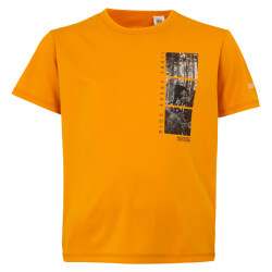 Regatta Kinderen/kinderen alvarado ix fietst-shirt