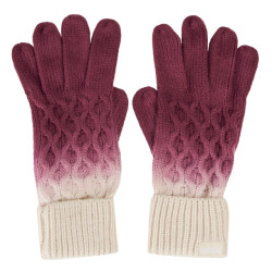 Regatta Dames frosty viii ombre handschoenen