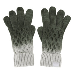 Regatta Dames frosty viii ombre handschoenen