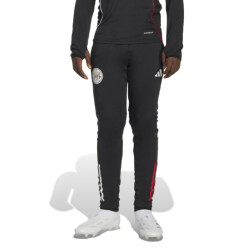 Adidas Ajax tr pnt y jp1748