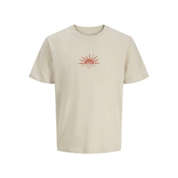 Jack & Jones Jorcalifa tee ss crew neck stydss25