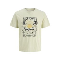 Jack & Jones Jorcalifa tee ss crew neck stydss25