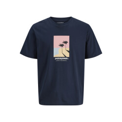 Jack & Jones Jorcalifa tee ss crew neck stydss25