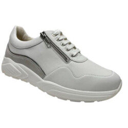 Solidus 66007