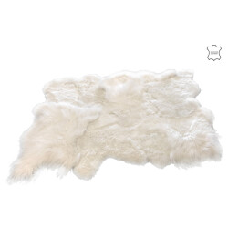 J-Line tapijt schaap large 336x210x12cm