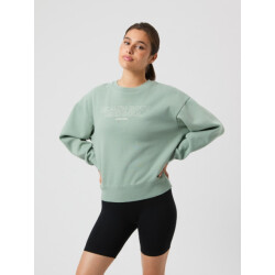 Björn Borg Borg boyfriend sweatshirt 10004424-gn191