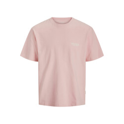 Jack & Jones Jorhydra photo tee ss crew neck licht