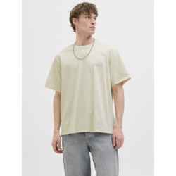 Jack & Jones Jorhydra photo tee ss crew neck