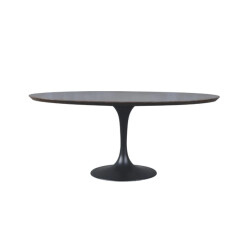 Signature Eettafel in eikenhout, metaal en blauwe steen l180 cm tulipe