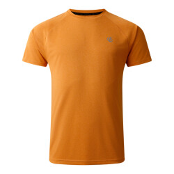Dare2b Heren versnellen lichtgewicht t-shirt