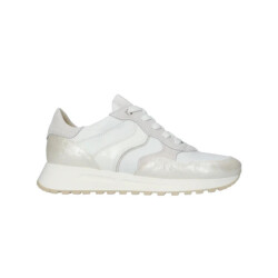DL Sport 65277