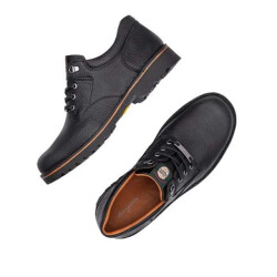 Livingstone 48051
