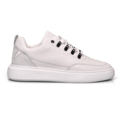 Cycleur de Luxe Brink