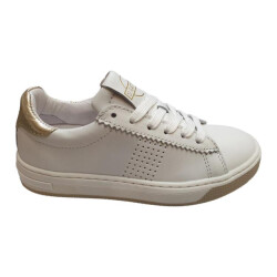 Gattino G6097