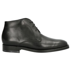 Van Lier 2861 10