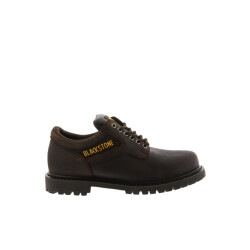 Blackstone 460