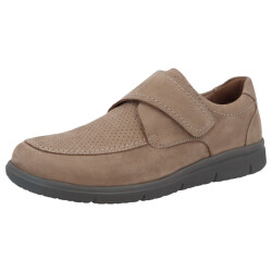 Solidus 64042-30366 hardy