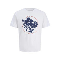 Jack & Jones Jordown tee ss crew neck stydss25