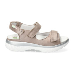 Mephisto Norine