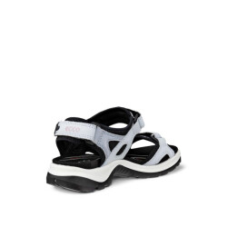 ECCO 069563-60563