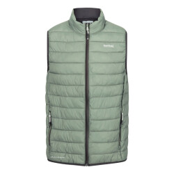 Regatta Heren hillpack ii gilet