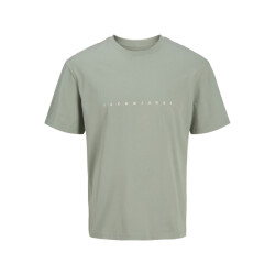 Jack & Jones Plus size heren t-shirt jjestar iceberg
