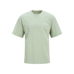 Jack & Jones jjebradley graphic tee ss o-neck no 12268268 iceberg green