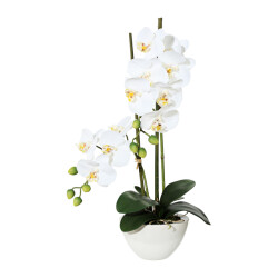 Kopu ® kunstbloem orchidee 50 cm met cement sierpot phalenopsis
