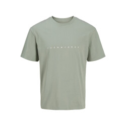 Jack & Jones Plus size heren t-shirt jjestar iceberg