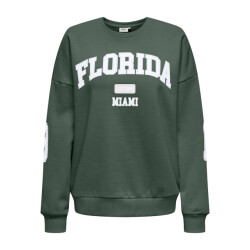 Only onlvictory l/s o-neck fit swt 15362900 pineneedle