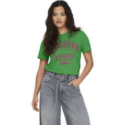 Only Onlregina s/s reg tee cs jrs green bee/de vivre