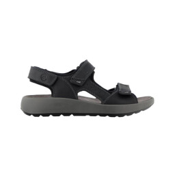 Ara 11-21506 piero