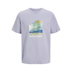 Jack & Jones Heren t-shirt jjbarbados ronde hals