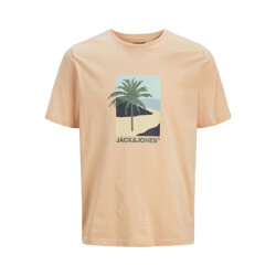 Jack & Jones Heren t-shirt jjbarbados ronde hals
