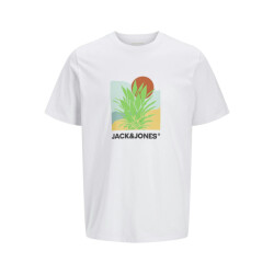 Jack & Jones Heren t-shirt jjbarbados ronde hals