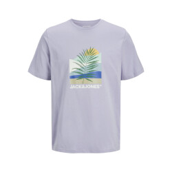 Jack & Jones Heren t-shirt jjbarbados ronde hals