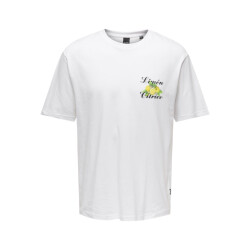 Only & Sons Onskeane rlx ss print tee noos off-white
