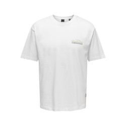 Only & Sons Onskeane rlx ss print tee noos off-white