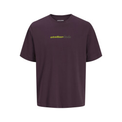 Jack & Jones Jjrody tee ss crew neck