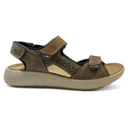 Ara 11-21506 piero