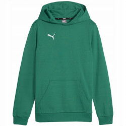 Puma Kinder/kids team goal casuals hoodie