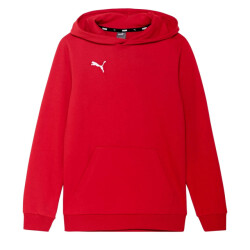 Puma Kinder/kids team goal casuals hoodie