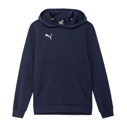 Puma Kinder/kids team goal casuals hoodie