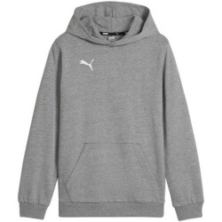 Puma Kinder/kids team goal casuals hoodie