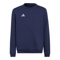 Adidas Kinderen/kinderen entrada 22 hoodie